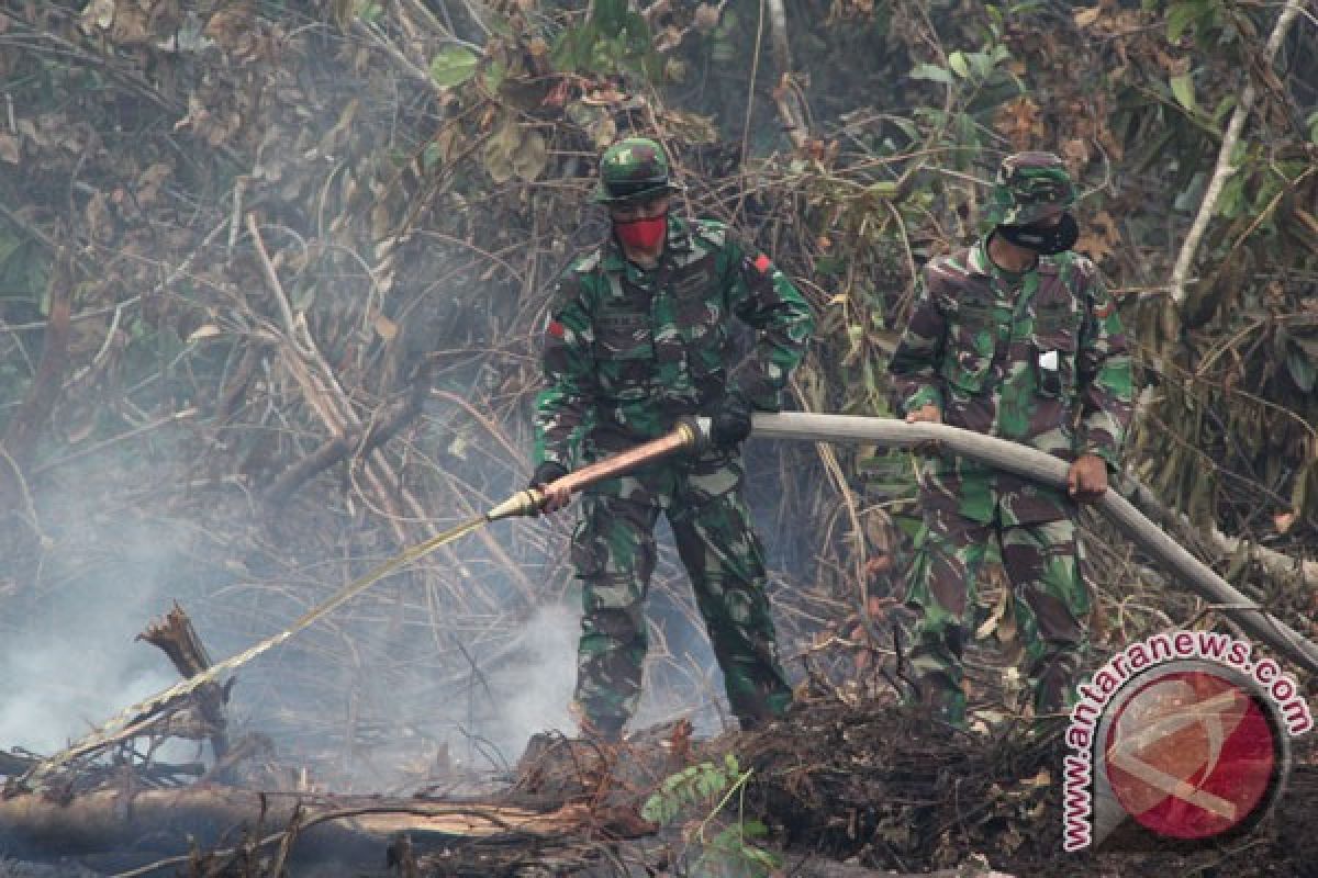 Penanganan kebakaran di Riau habiskan 12 juta liter air