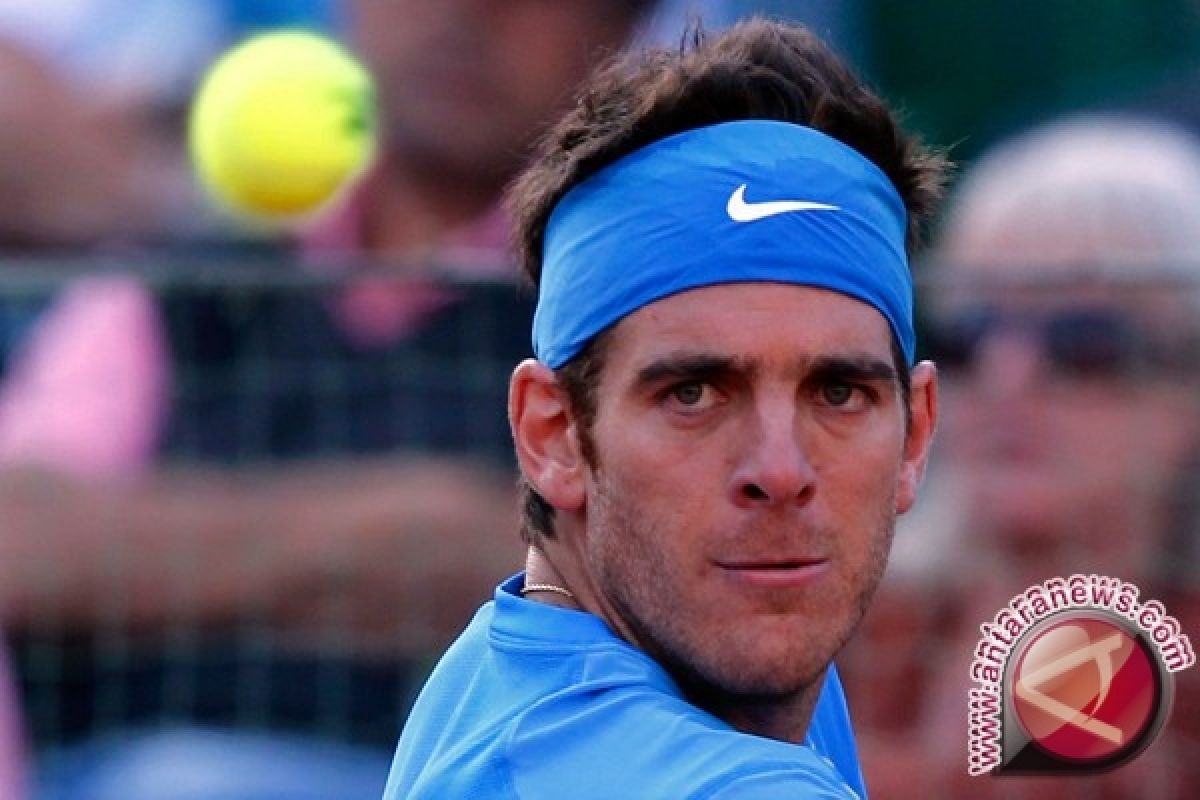 Del Potro mundur di Miami karena cedera