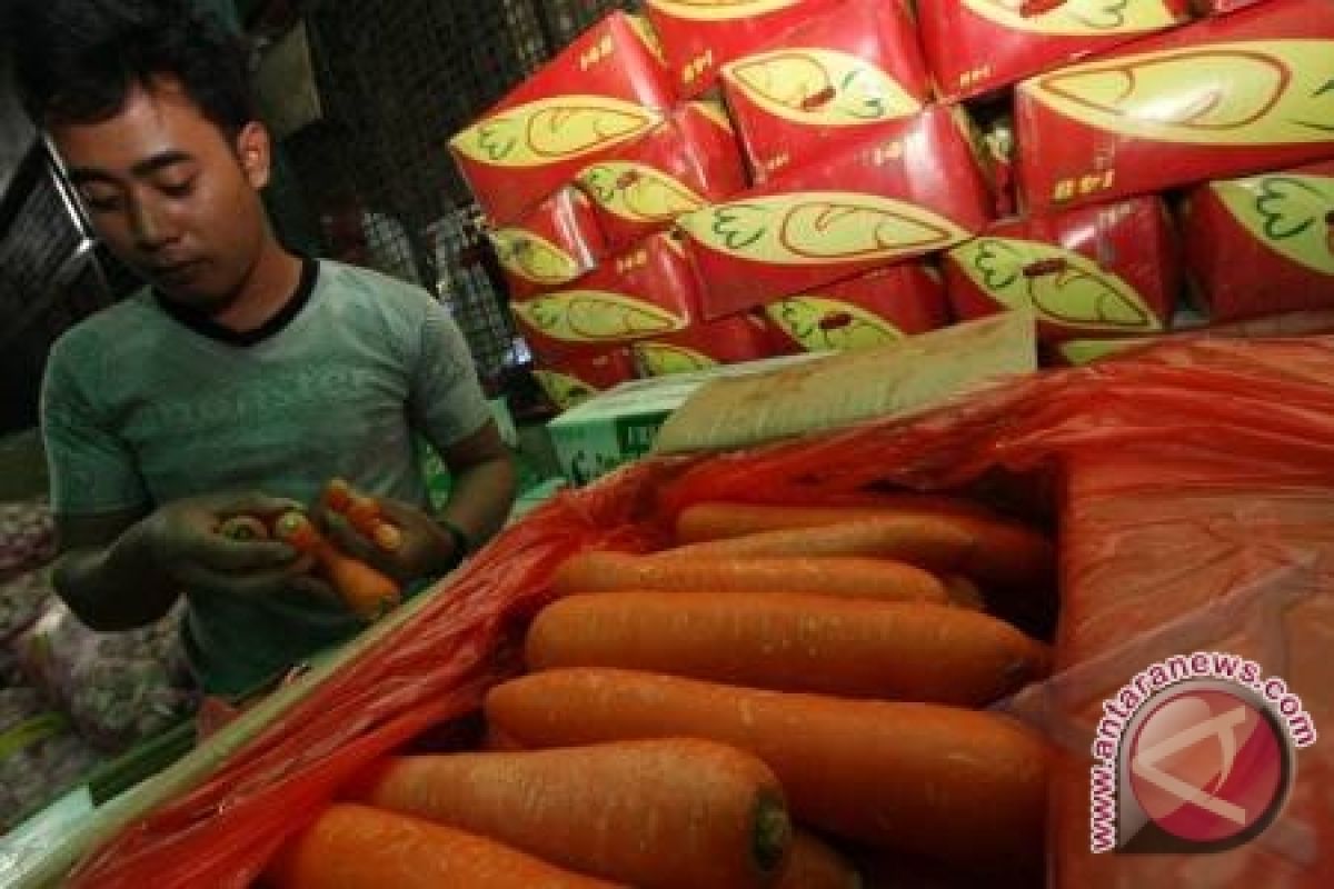 Harga Wortel di Pangkalpinang Naik