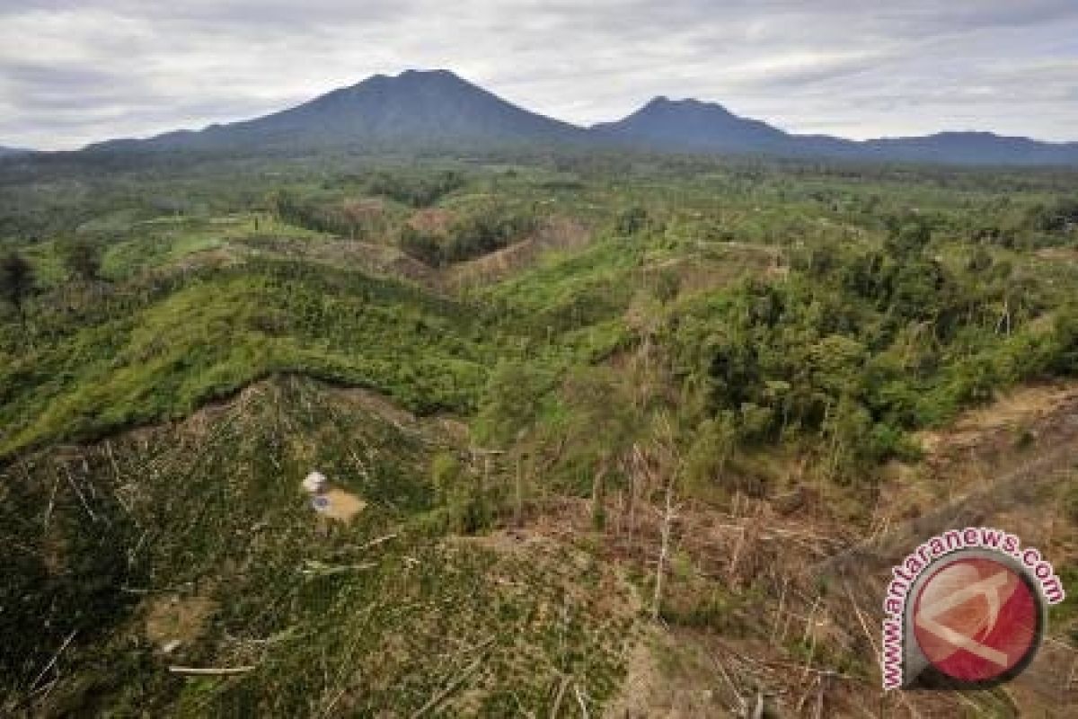 Warga Prihatin Pengrusakan Hutan Mamasa