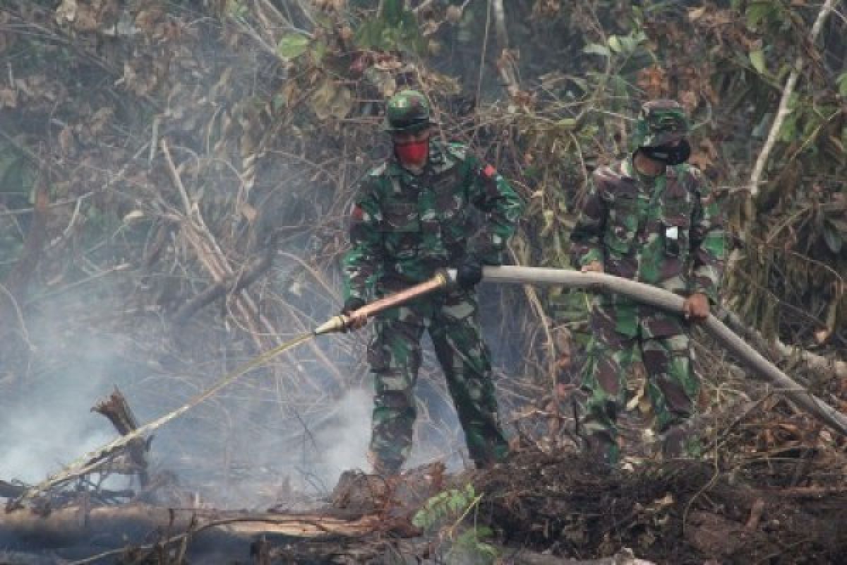 BNPB: Terpantu 150 Titik Api di Kalbar