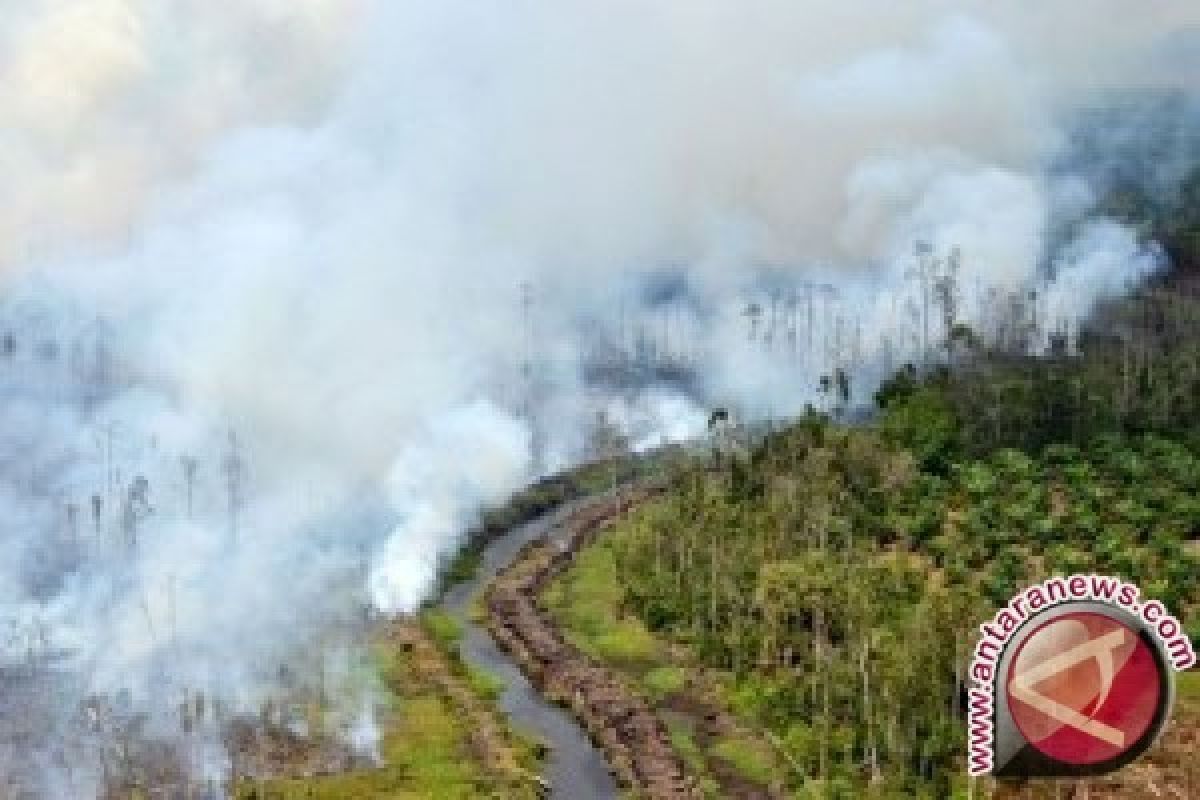 Dandim: Putung rokok penyebab kebakaran hutan Nagan Raya