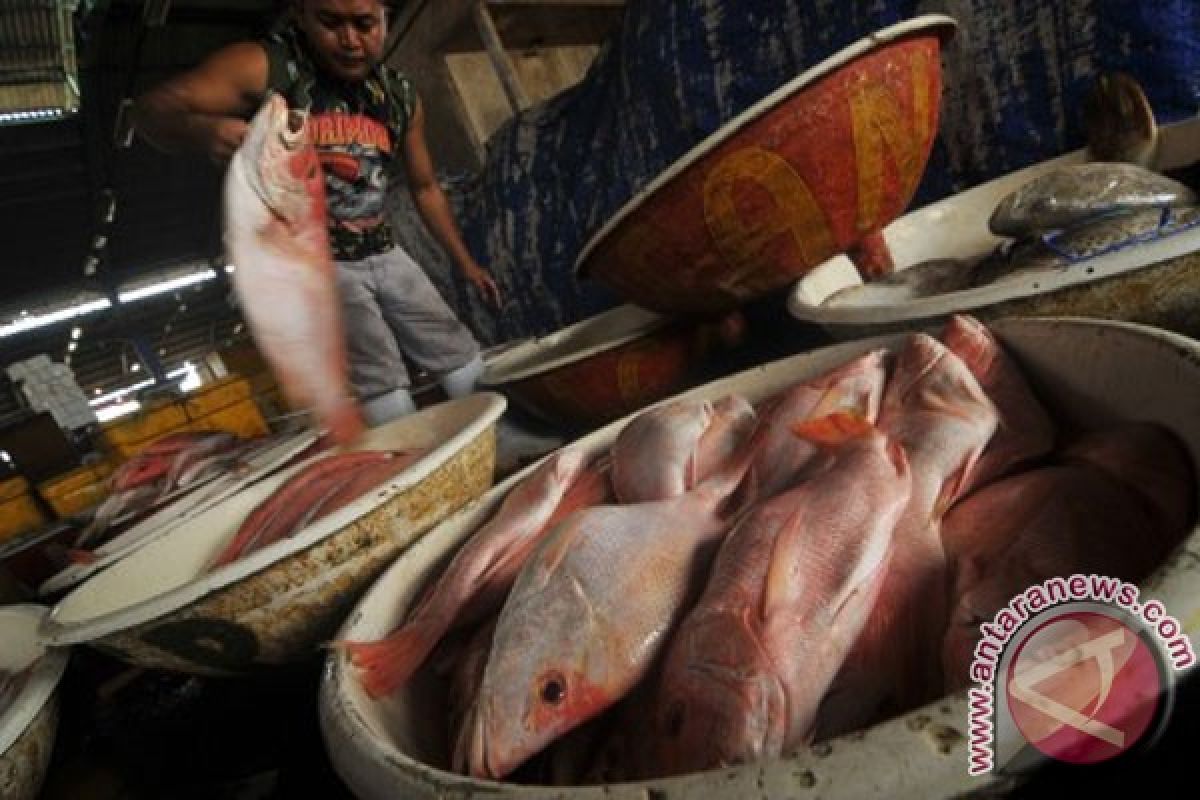 Indonesia promotes ecolabelling of fish products in developing countries