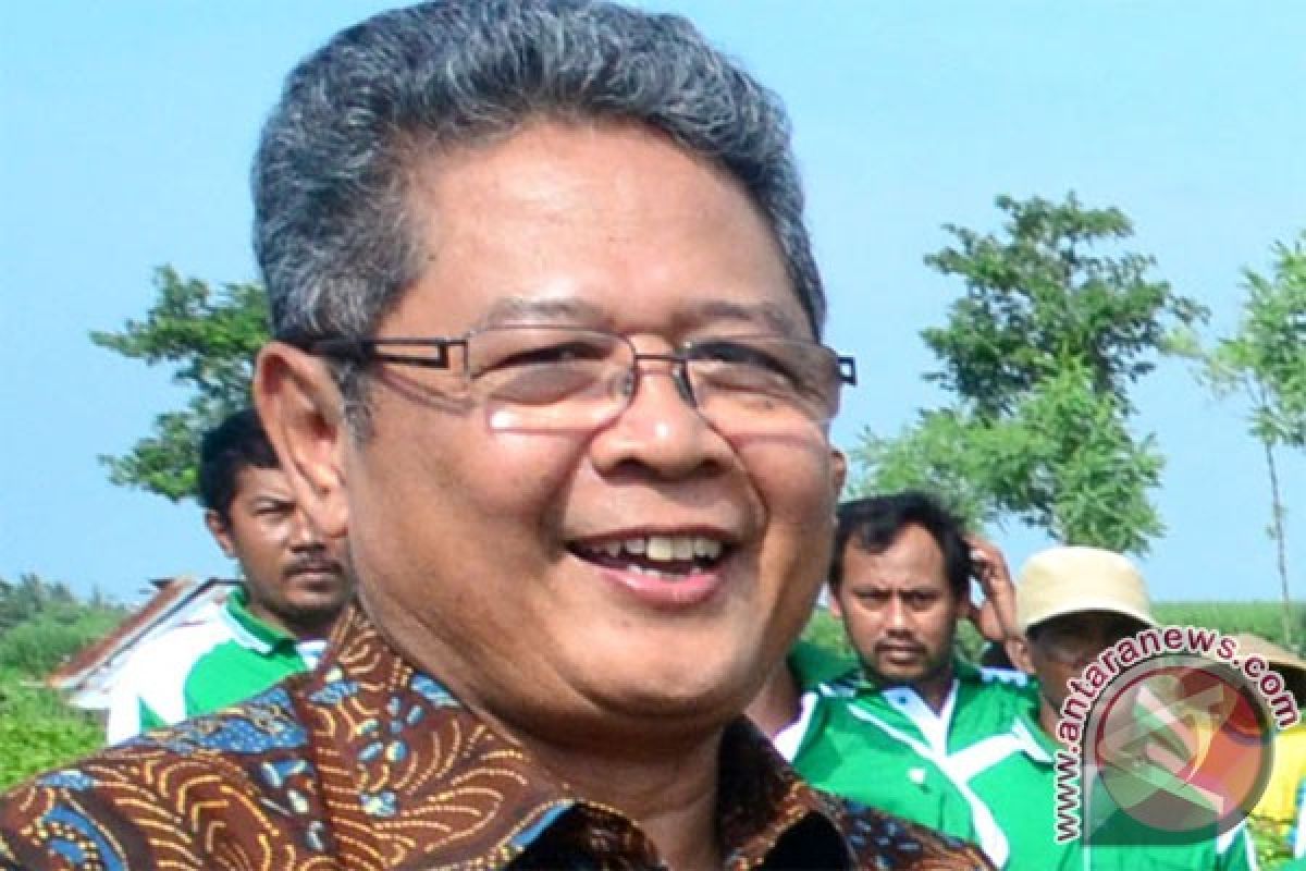 PDIP Jateng: tidak ada pengerahan massa