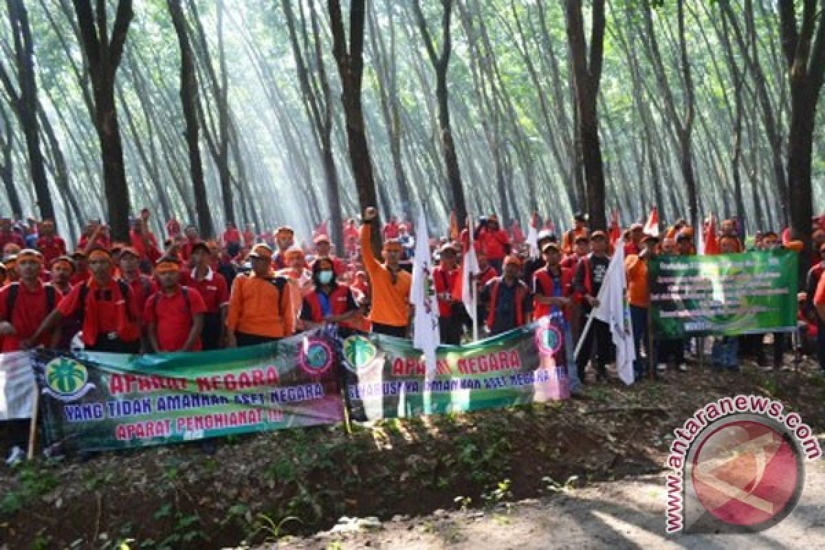 BUMN perkebunan masih tersandera aksi penyerobotan lahan