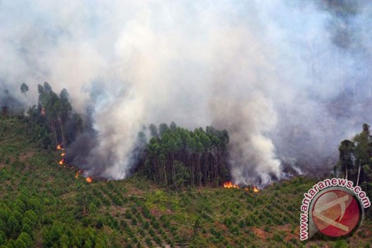 NOAA deteksi tujuh titik panas di Sumatera