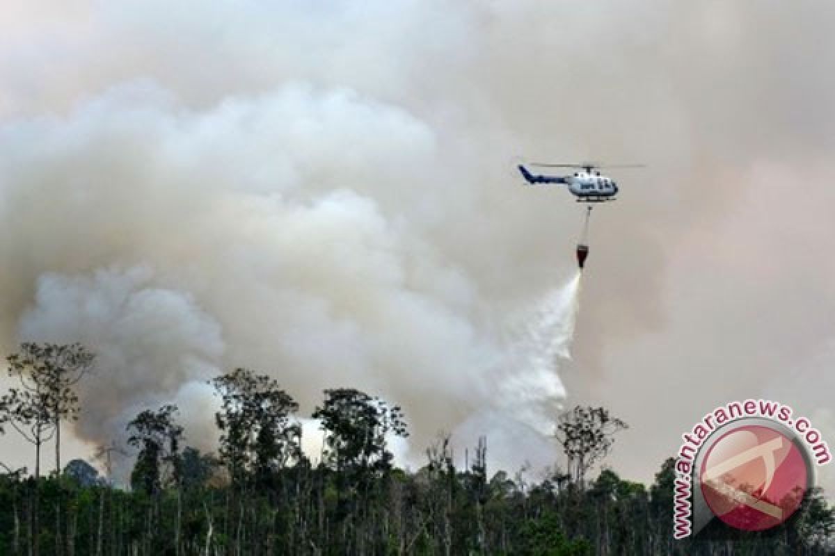 Satgas Darat tiga bulan padamkan 20.451 hektare lahan terbakar