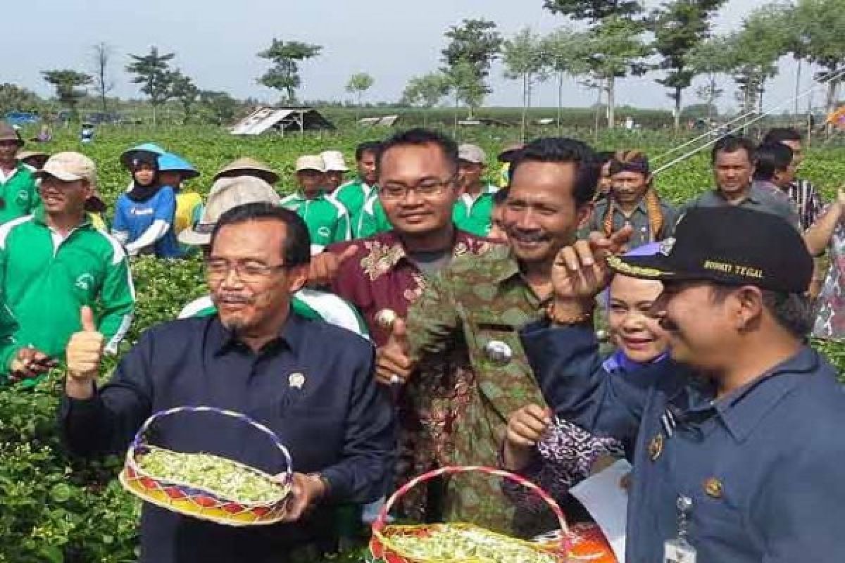 Mentan : eksportir dan petani harus sama-sama untung