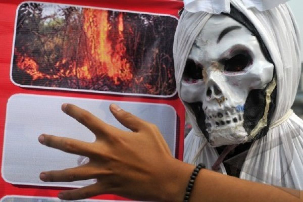 Enam Tersangka Kebakaran Lahan Riau Masuk DPO