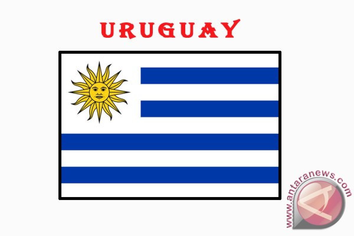 Pengurus federasi sepakbola Uruguay mengundurkan diri 