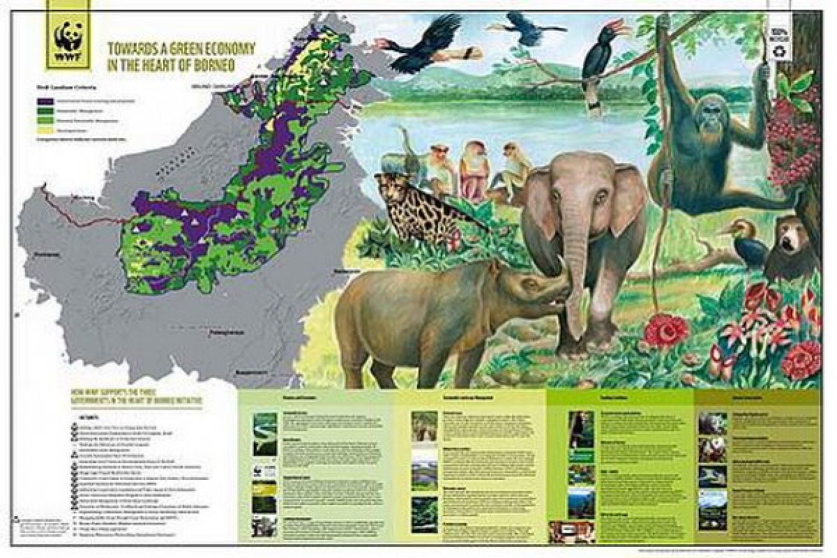 WWF dan Formadat Dorong Pembangunan Berkelanjutan Jantung Borneo 