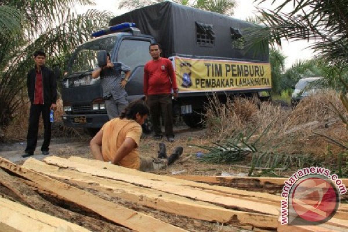 Hukuman kejahatan kehutanan dinilai belum bikin jera