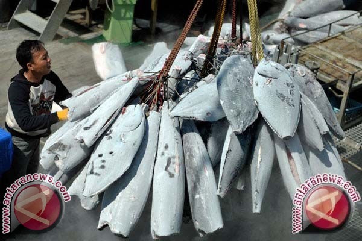 Tangkapan Ikan di Selat Bali 2,45 Juta Ton