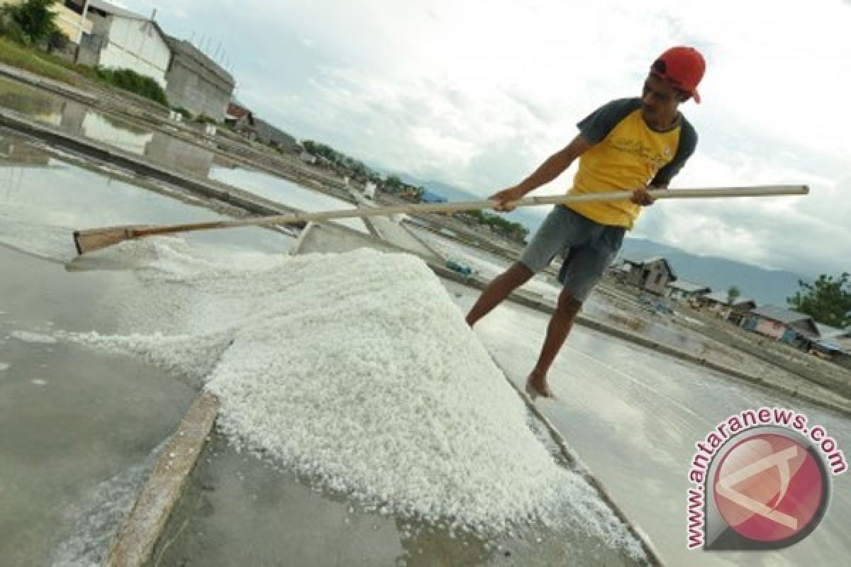 Bertambak Garam Kurang Diminati Warga Karawang