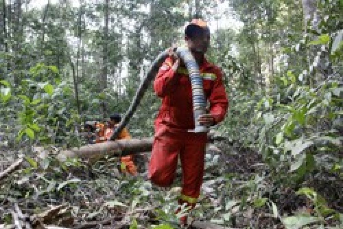 Kendala Penanganan Kebakaran Hutan/Joko Sulistyo