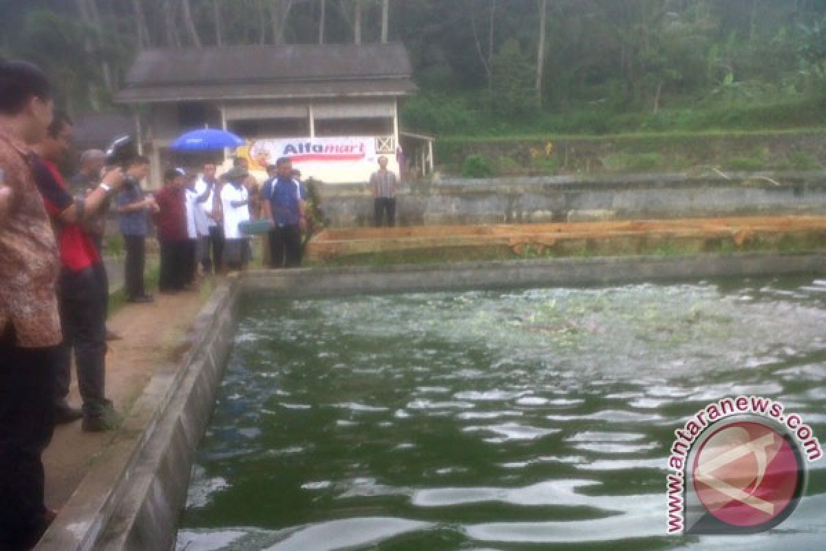 Pemkot Bekasi arahkan warganya budidaya ikan konsumsi