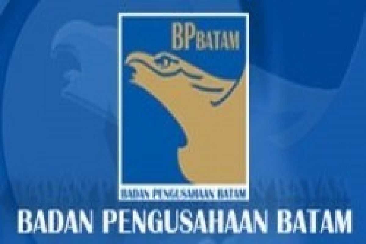 BP Batam Prioritaskan Pembangunan Pelabuhan Punggur
