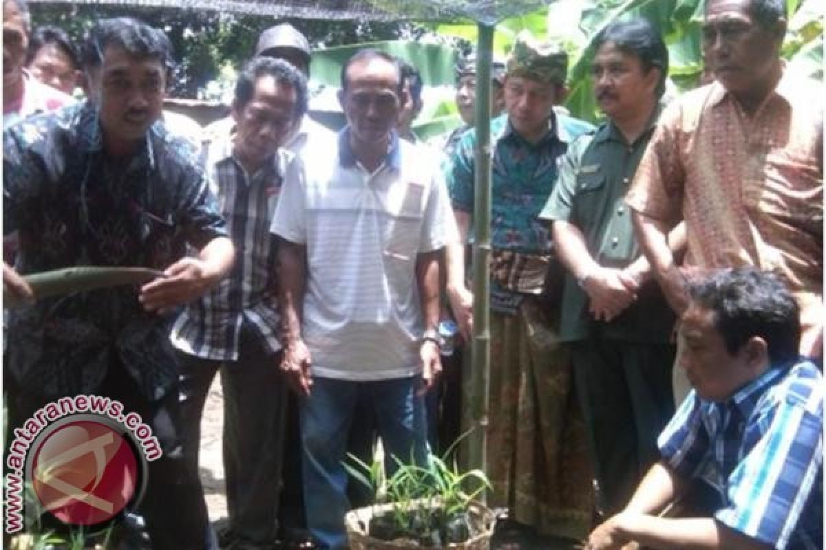 LPB Bali Kembangkan Program â€˜One Village One Productâ€™