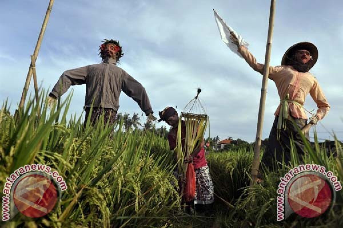 Petani Beri Kebutuhan Pangan