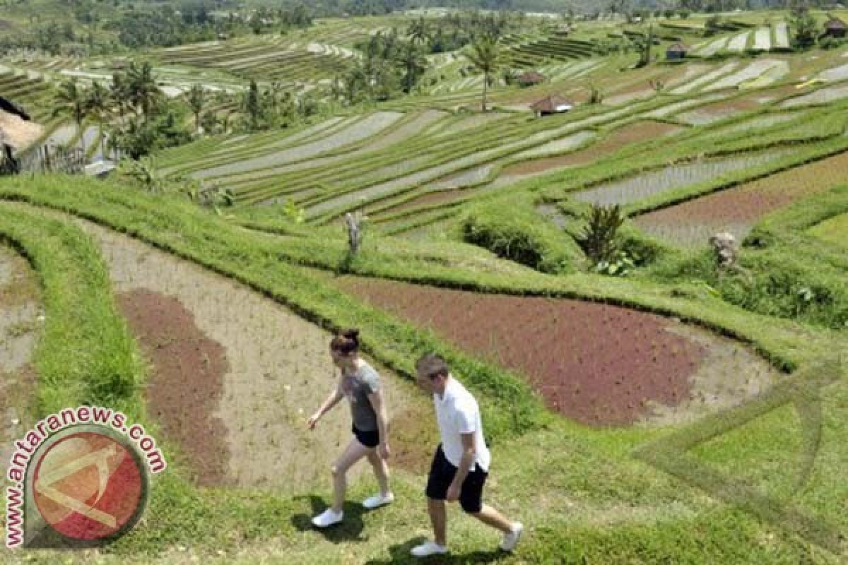 Indonesian Embassy highlights Subak as Indonesia's tourist attraction