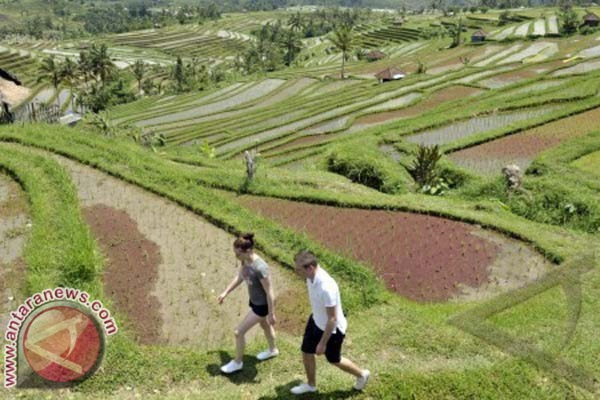 Subak bahan promosi destinasi wisata Indonesia di  Namibia