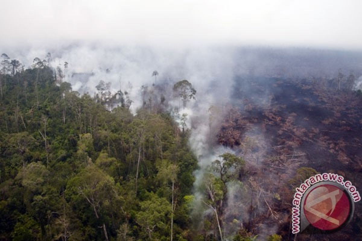 Masyarakat Peduli Api diberdayakan atasi kebakaran hutan