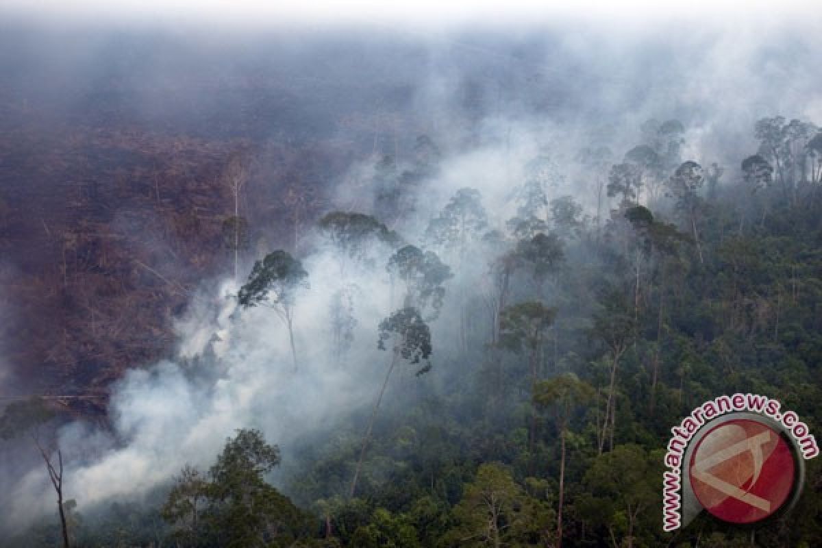 Udara Riau dikabarkan tidak sehat akibat asap