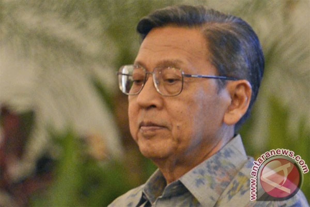 VP Boediono warns of larger risk of forest fires