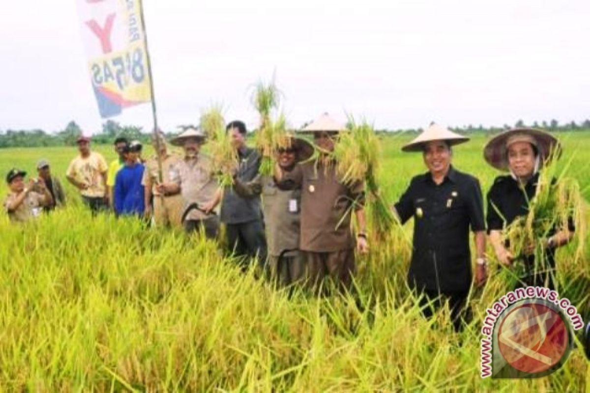 Petani Kaltim Gunakan Alat Pertanian Modern Pada 2018