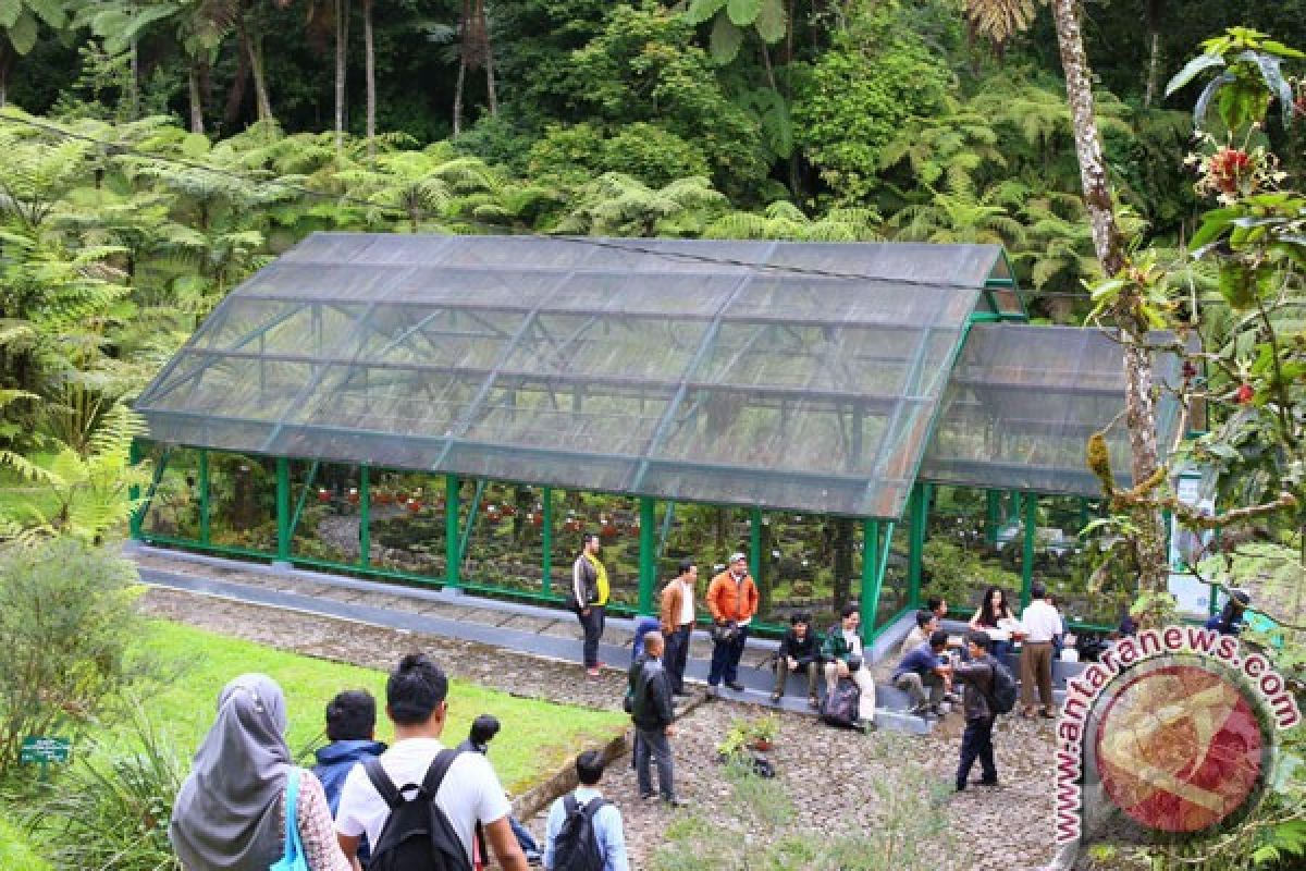 LIPI dirikan Rumah Kantung Semar di Cibodas