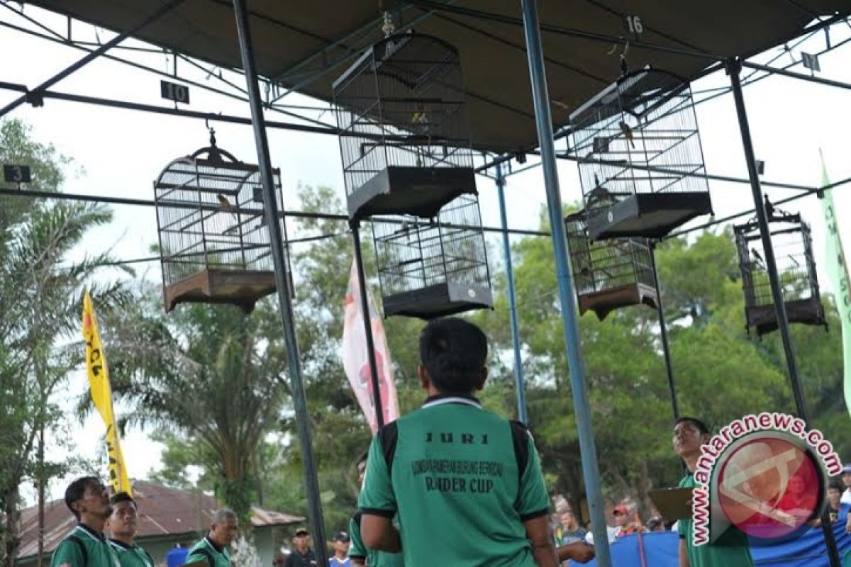 Ratusan peserta ikut lomba burung berkicau