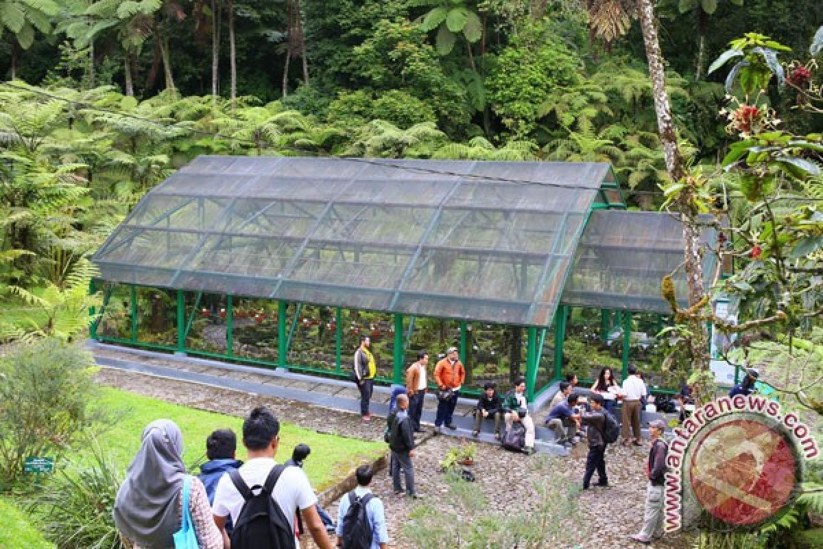 Kebun Raya Cibodas makin diminati, jumlah pengunjungi lampaui target