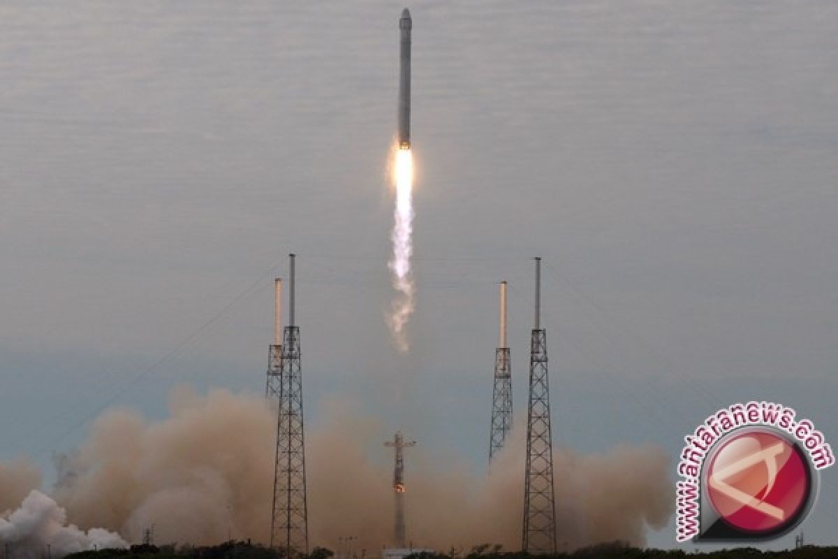  Astronot bisa berkebun di luar angkasa