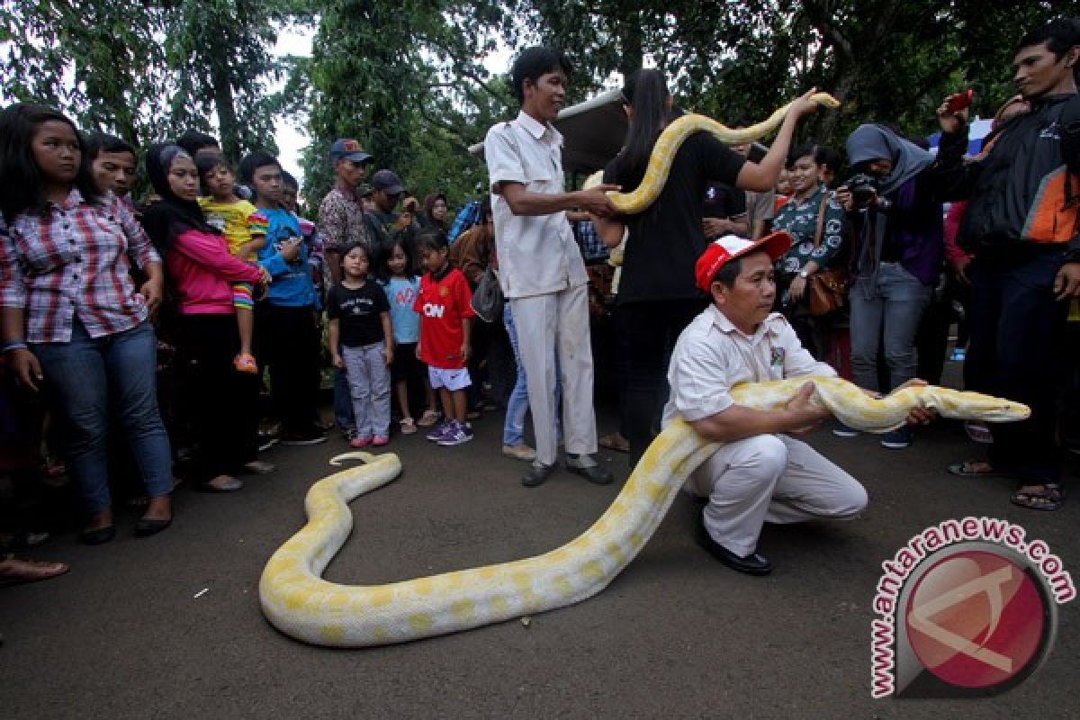 Ragunan targetkan 800.000 pengunjung hingga 24 Juni