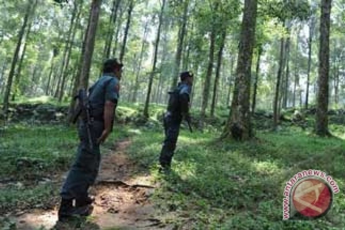 DPRD Rejang Lebong Kagumi Hutan Pelawan Namang