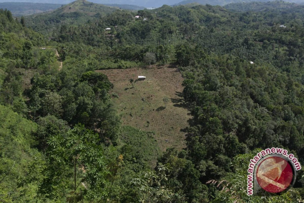 Bupati Bangka Ajak Petani Manfaatkan Lahan Tidur