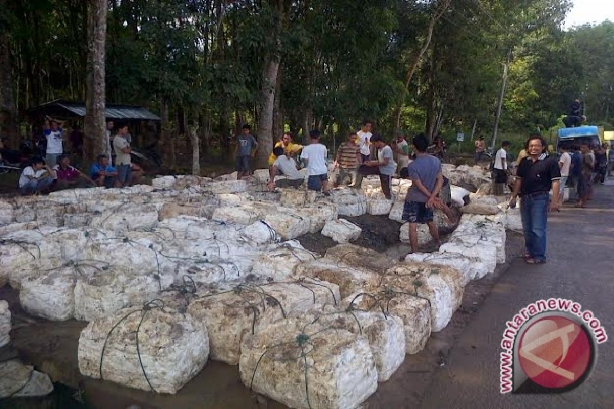 Karet dan bubur kayu komoditas ekspor andalan Sumsel