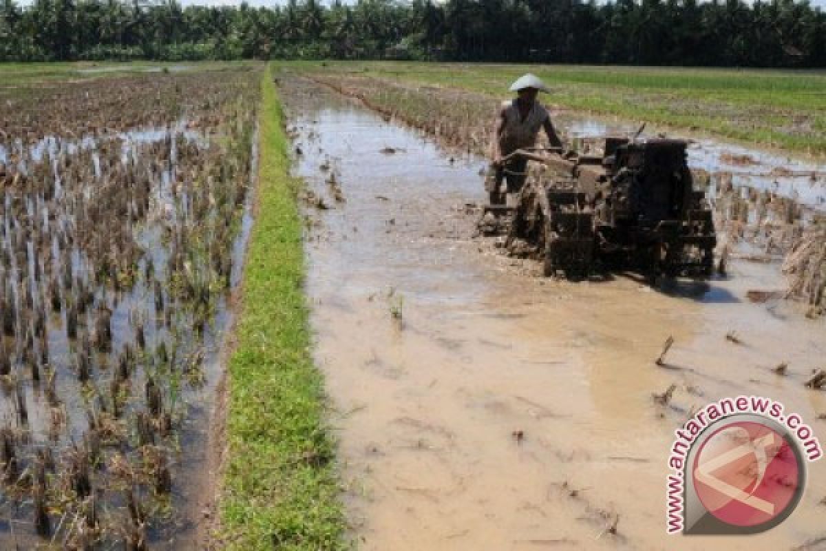 Pemerintahan Jokowi-JK harus ubah sistem pertanian komoditas pangan
