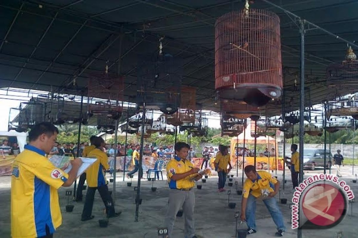 Lomba kicau burung di Baturaja 