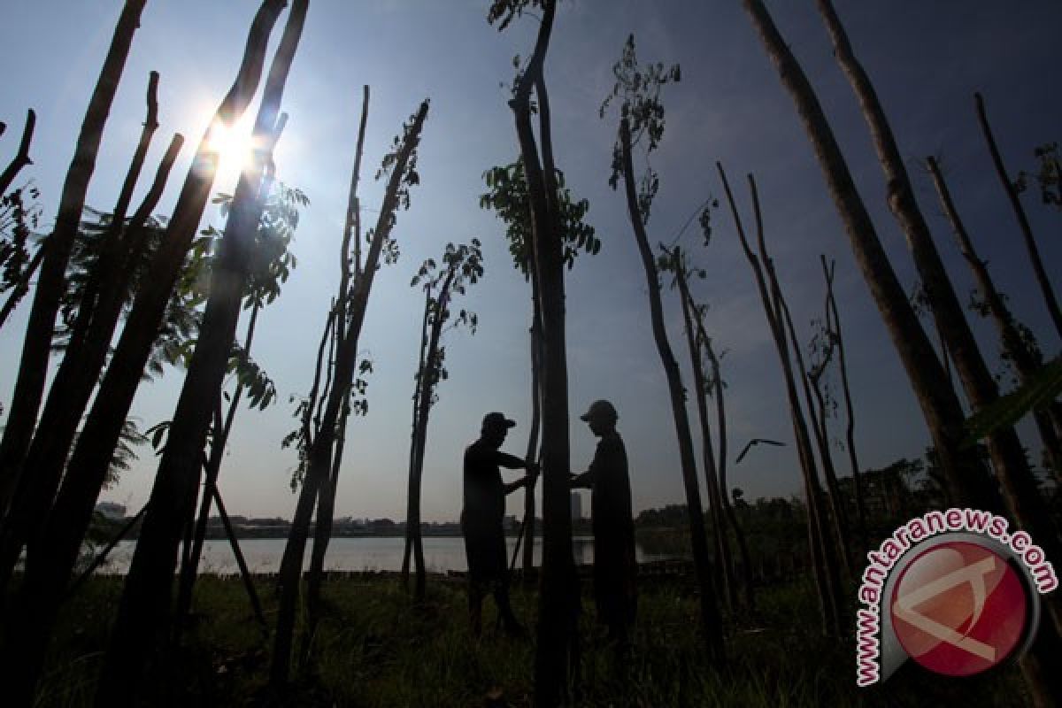 Mandiri serahkan hutan kota pada BPJS Ketenagakerjaan