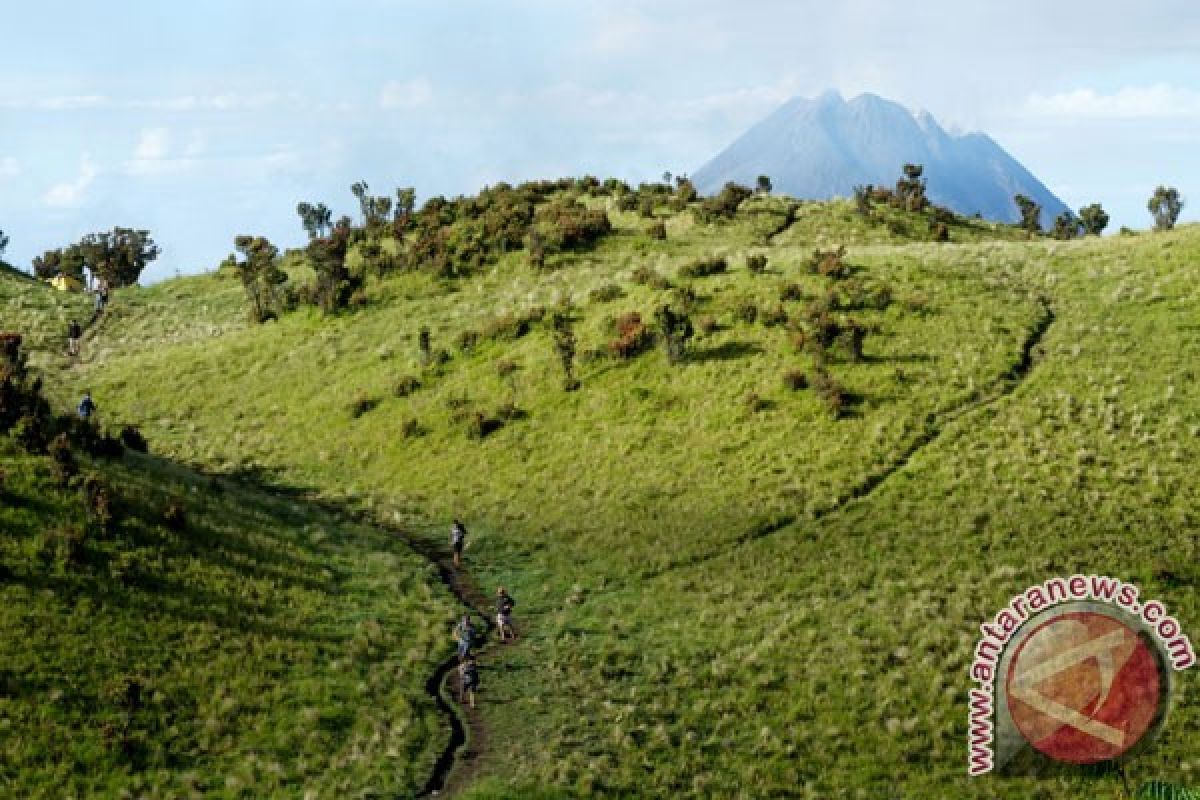 Puluhan pendaki Merapi dialihkan ke Merbabu