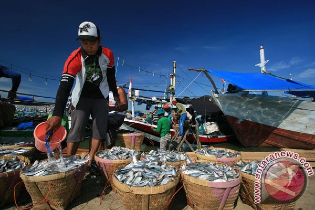 Program Gudang Ikan Juara cegah nelayan dari tengkulak