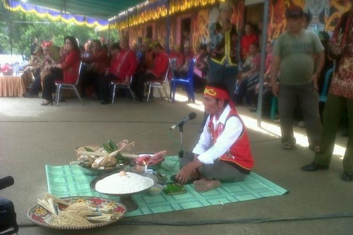 Masyarakat Dayak Tiga Kabupaten Gelar Upacara Naik Dango