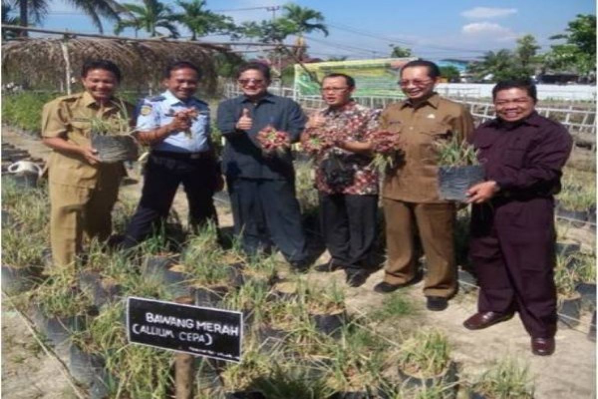 Warga Binaan Lapas Pontianak Panen Bawang Merah Didukung BI Kalbar