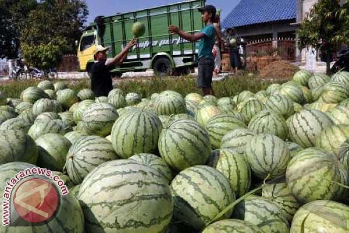 Semangka Dapat Turunkan Tekanan Darah