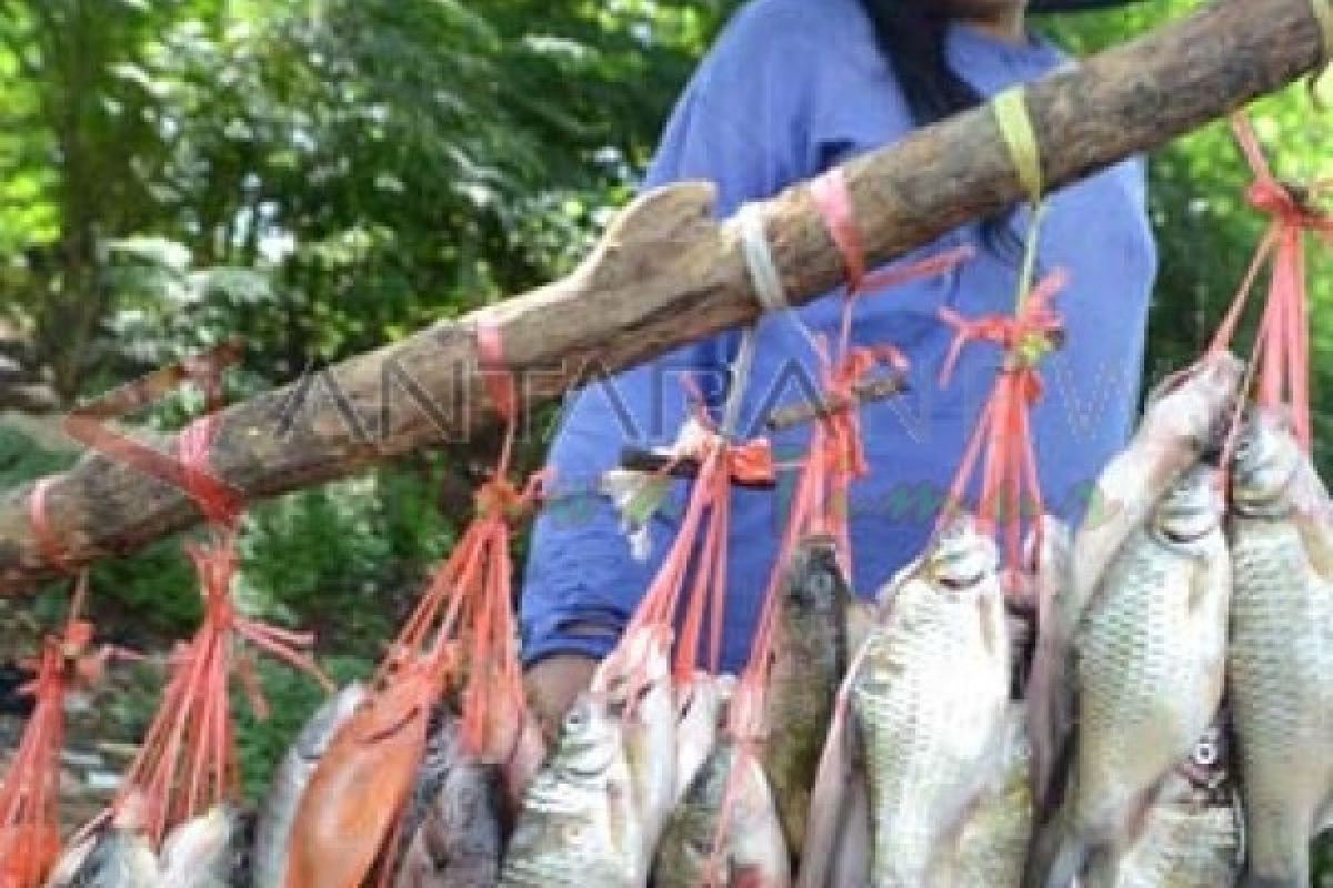 Produksi Ikan Tawar Madiun Capai 3.892 Ton