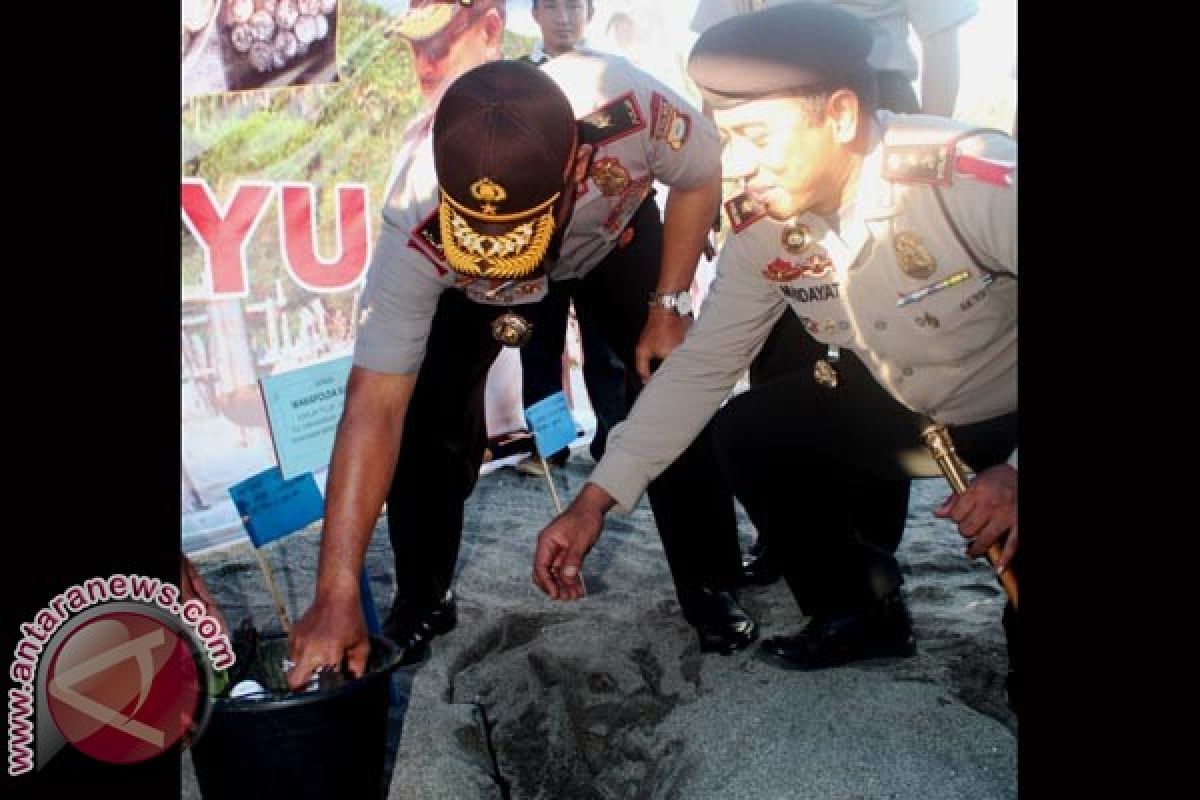 Selayar Police Saving Thousands Of Sea Turtle Eggs From Poacher 