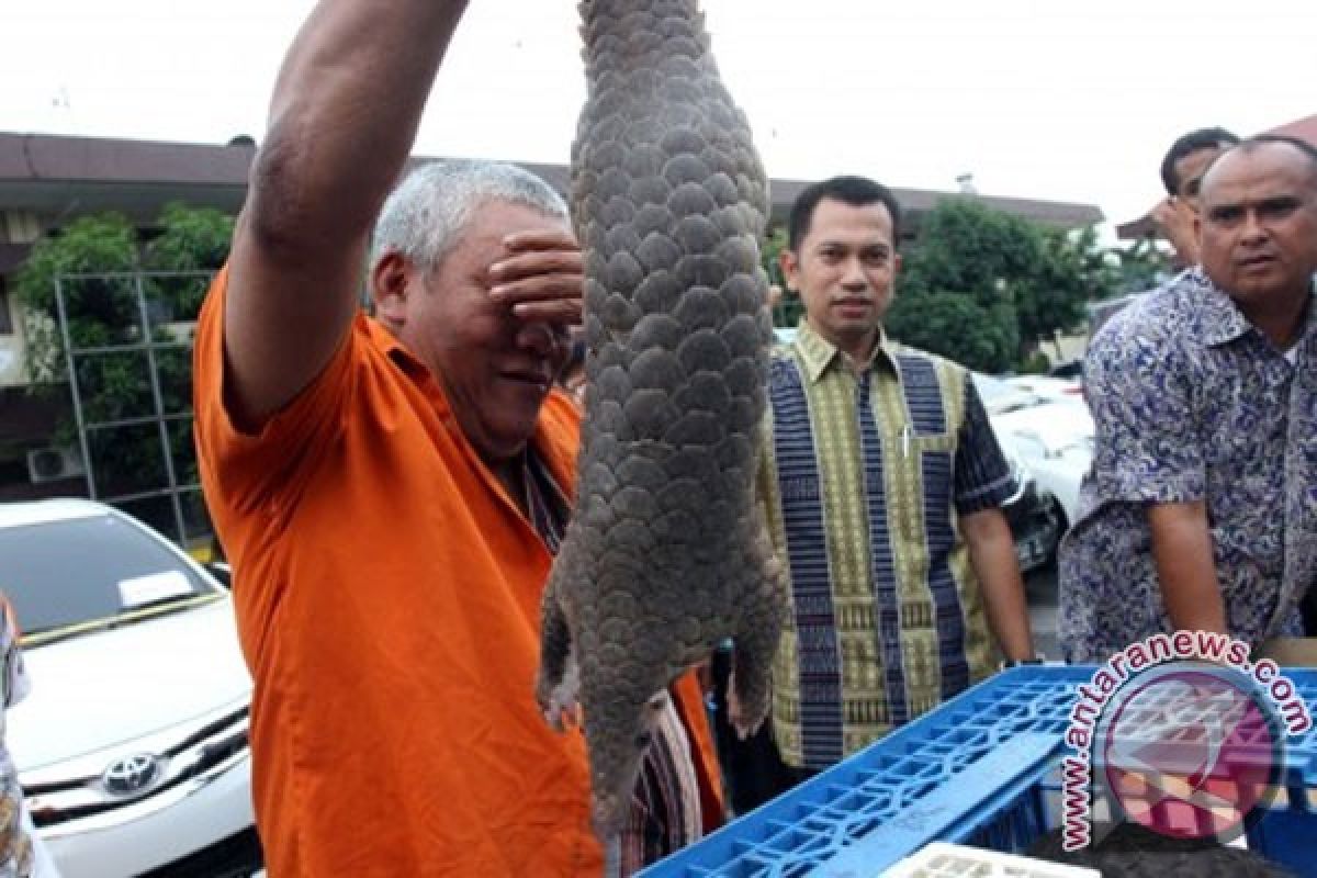 Singapura sita gading dari hampir 300 gajah dalam penyitaan terbesar