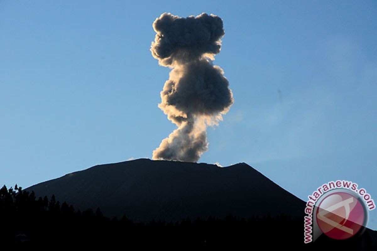 Mount Slamet still spews volcanic ash