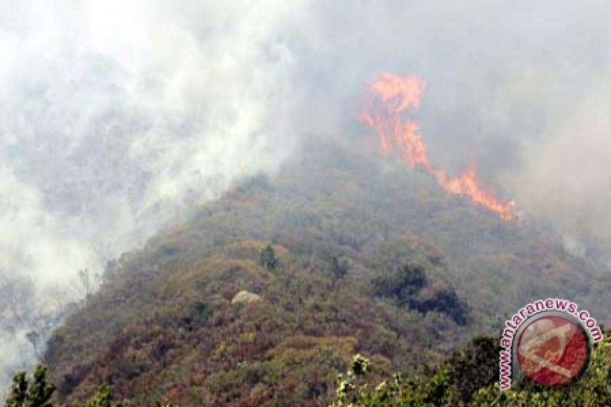 Participatory Approach Needed to Overcome Haze